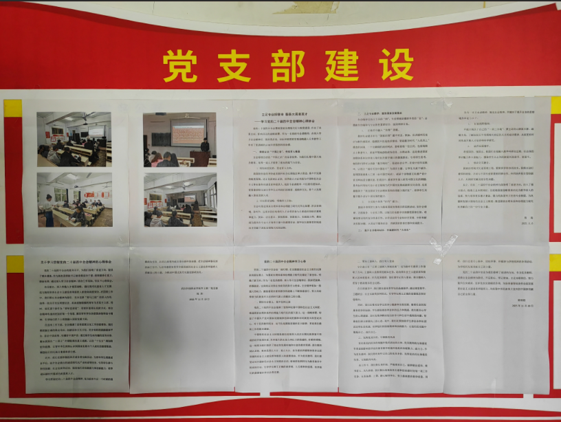 必赢官网以阶段学习成果为基 深化党的二十届四中全会精神学习实践 必赢官网以阶段学习成果为基 深化党的二十届四中全会精神学习实践