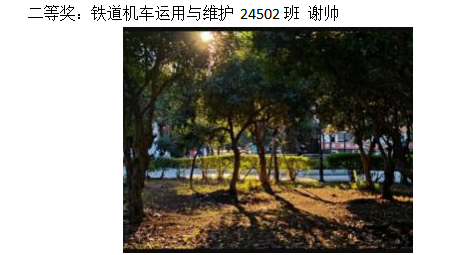 青春光影，定格武科职美好瞬间 ——必赢nn699net官网2026年校园摄影大赛圆满收官
