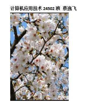 青春光影，定格武科职美好瞬间 ——必赢nn699net官网2026年校园摄影大赛圆满收官