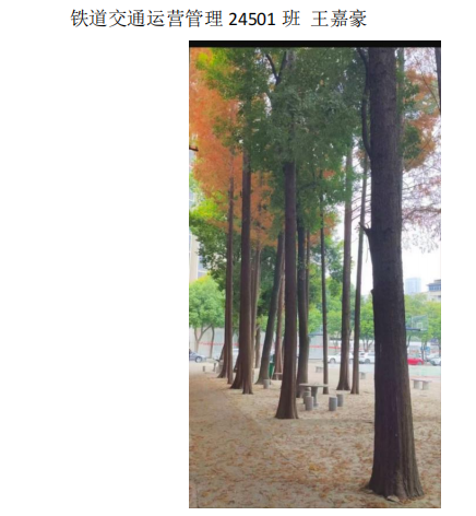 青春光影，定格武科职美好瞬间 ——必赢nn699net官网2026年校园摄影大赛圆满收官