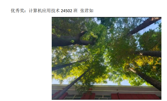 青春光影，定格武科职美好瞬间 ——必赢nn699net官网2026年校园摄影大赛圆满收官