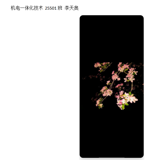 青春光影，定格武科职美好瞬间 ——必赢nn699net官网2026年校园摄影大赛圆满收官
