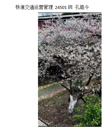 青春光影，定格武科职美好瞬间 ——必赢nn699net官网2026年校园摄影大赛圆满收官