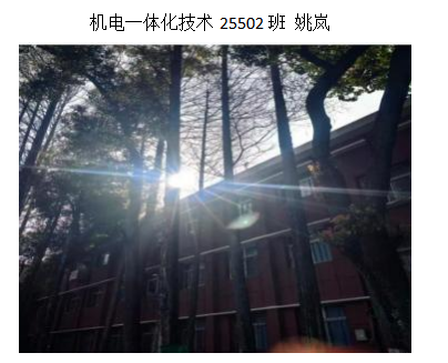 青春光影，定格武科职美好瞬间 ——必赢nn699net官网2026年校园摄影大赛圆满收官