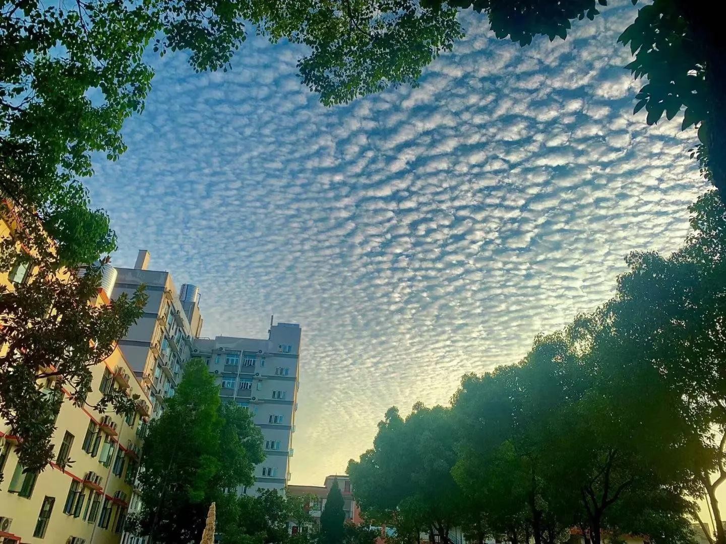 毕业进国企，福利好，待遇高；必赢nn699net官网学生很“清高”